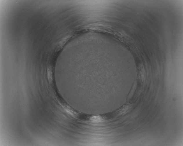 X0000066990562200603271317