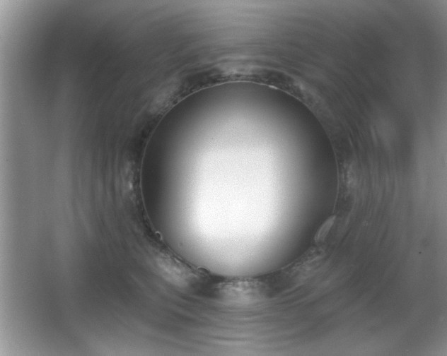 X0000066990567200603271317