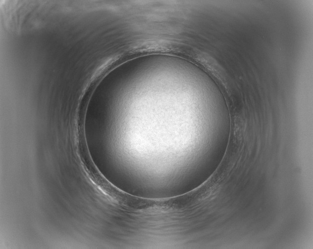 X0000066990578200603271316