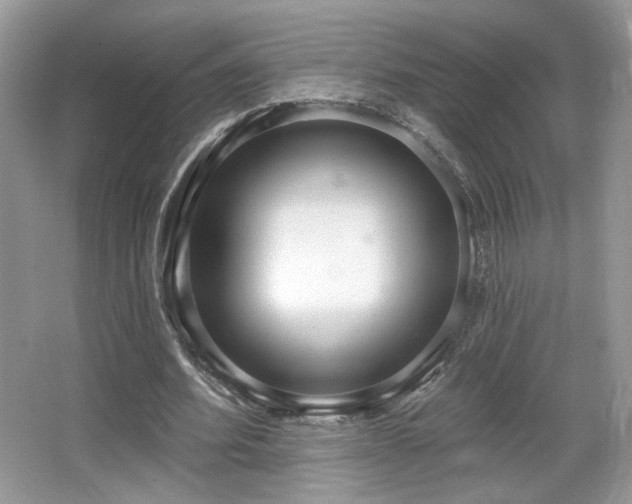 X0000066990580200603271316