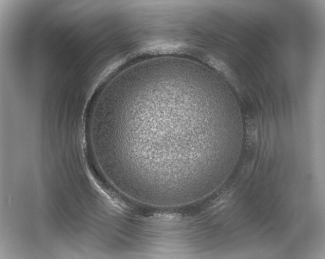 X0000066990582200603271316
