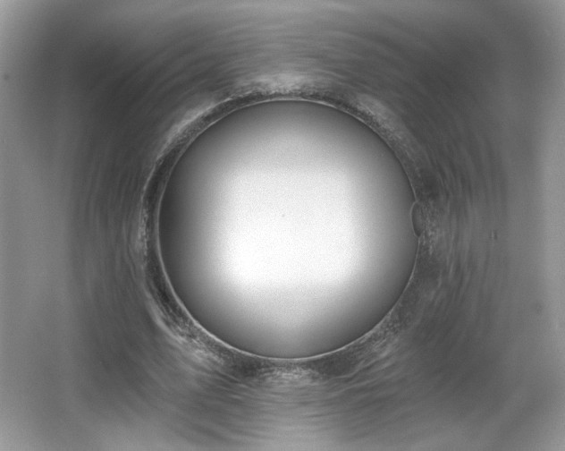 X0000066990583200603271316