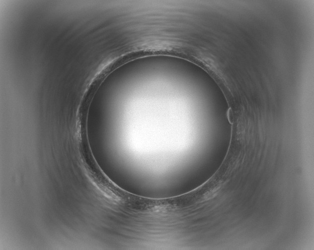 X0000066990584200603271316