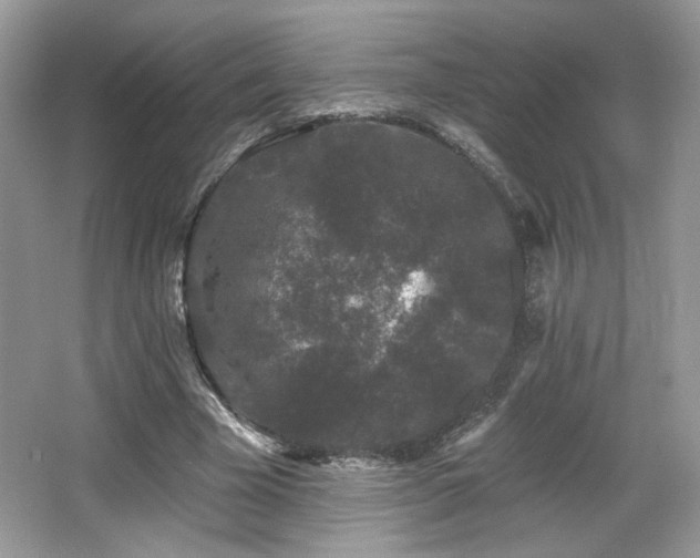 X0000066990585200603271316