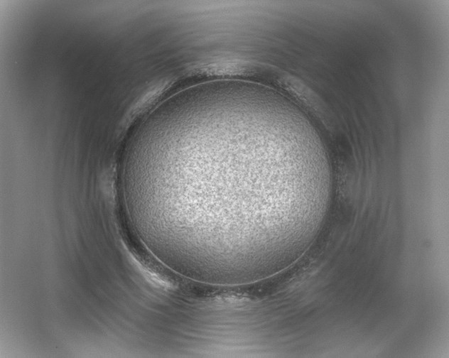 X0000066990586200603271316