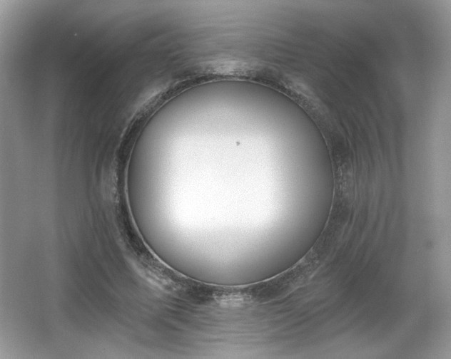 X0000066990587200603271316