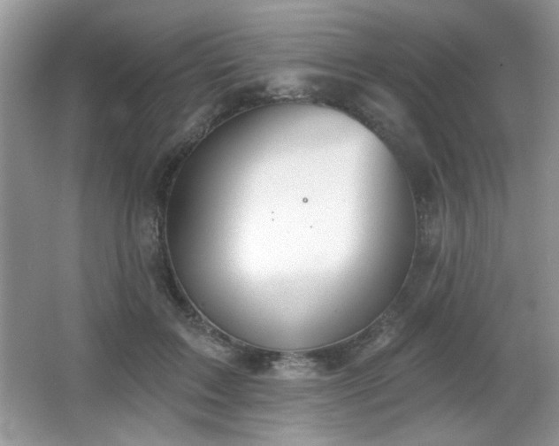 X0000066990603200603271316