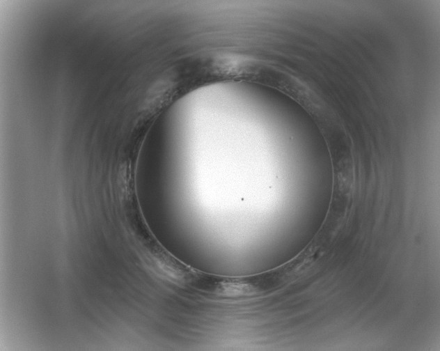 X0000066990605200603271316