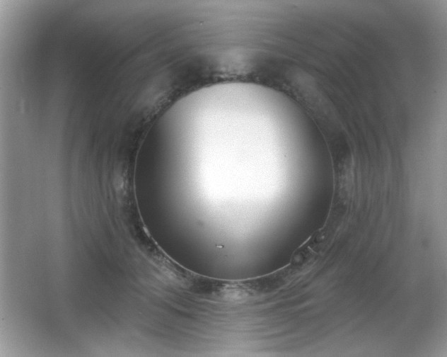 X0000066990608200603271316
