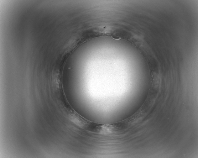 X0000066990612200603271316