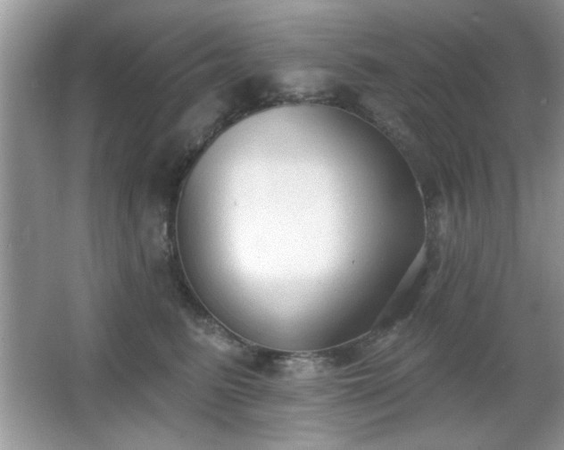 X0000066990615200603271316