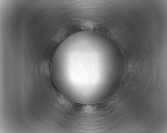 X0000066990616200603271316