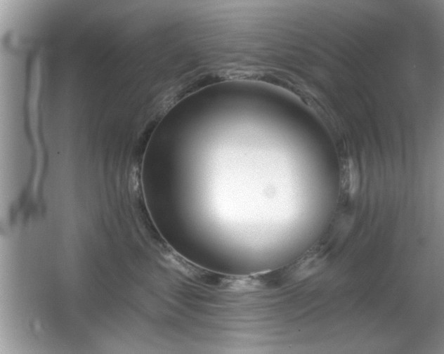 X0000066990621200603271316