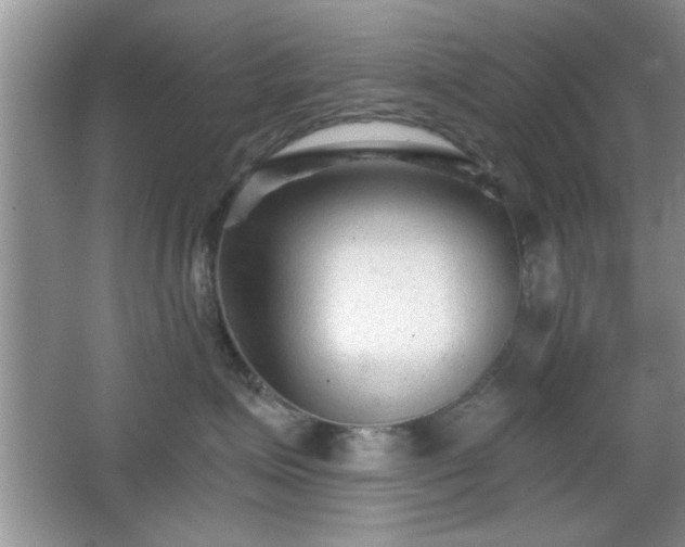 X0000066990623200603271316