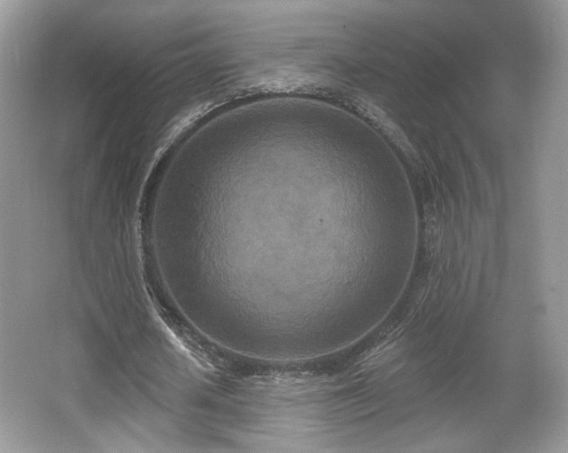 X0000066990626200603271315