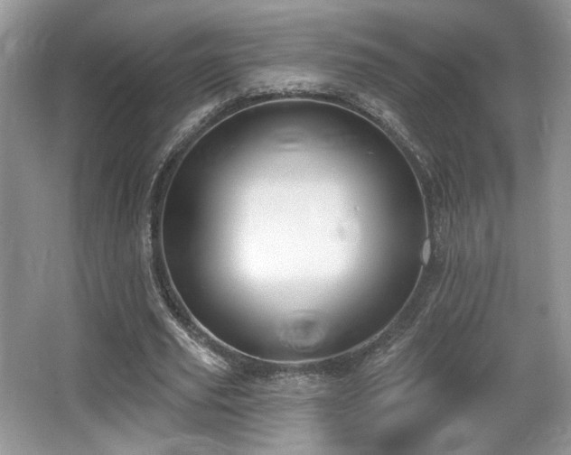 X0000066990629200603271315