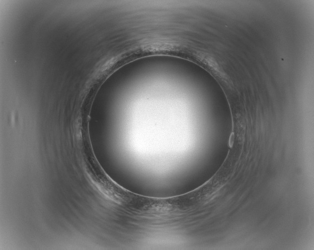 X0000066990631200603271315