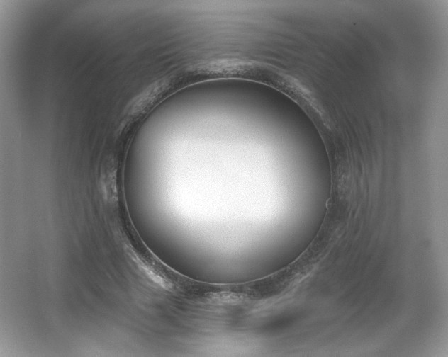 X0000066990633200603271315