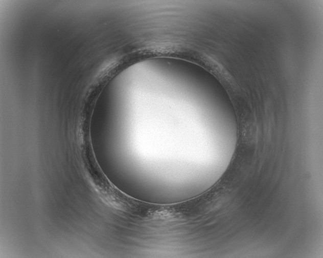 X0000066990635200603271315