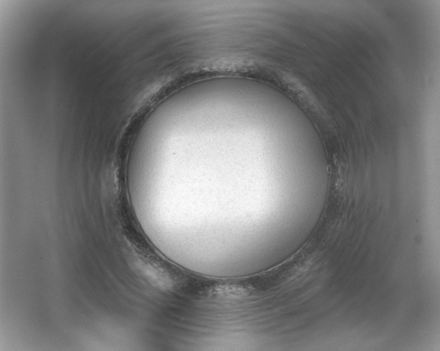 X0000066990636200603271315