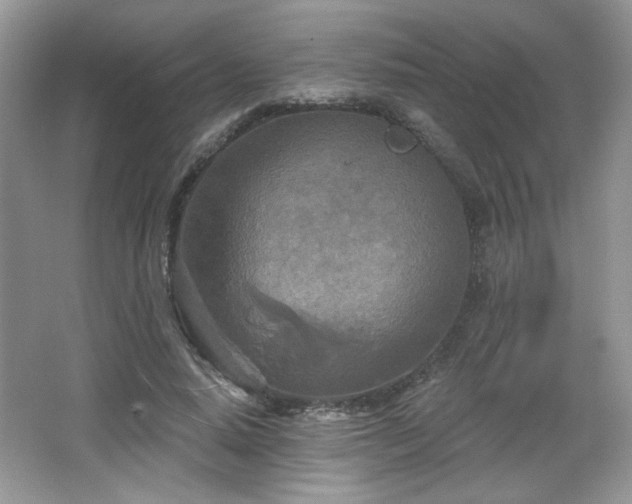 X0000066990640200603271315