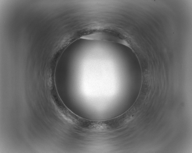 X0000066990642200603271315