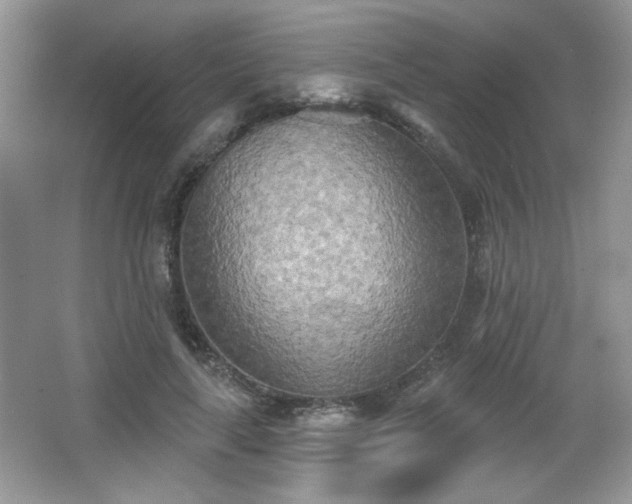 X0000066990643200603271315