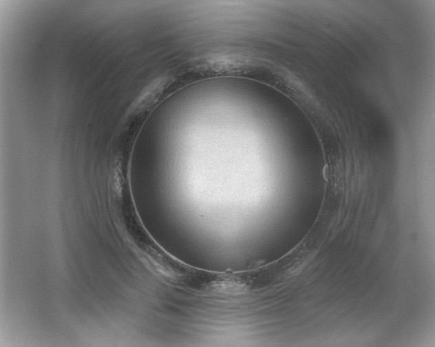 X0000066990644200603271315
