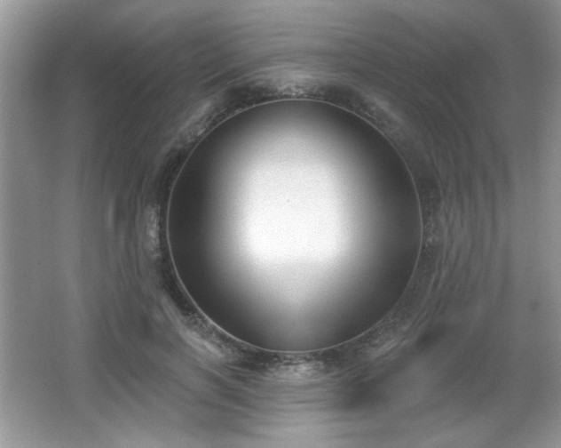 X0000066990646200603271315
