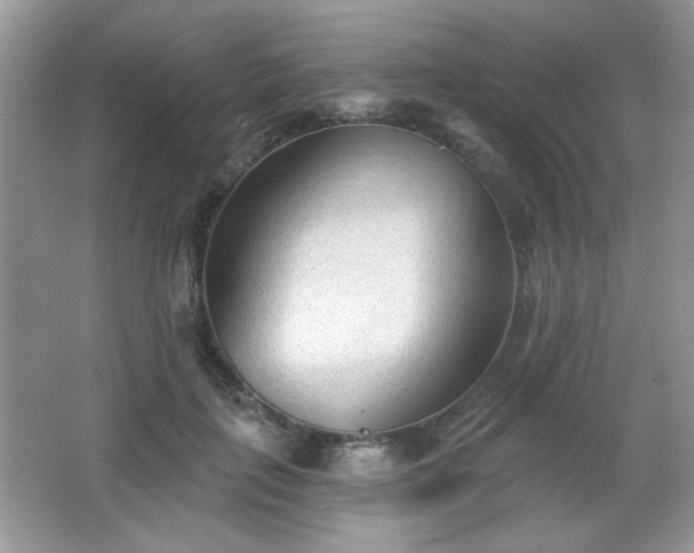 X0000066990651200603271315