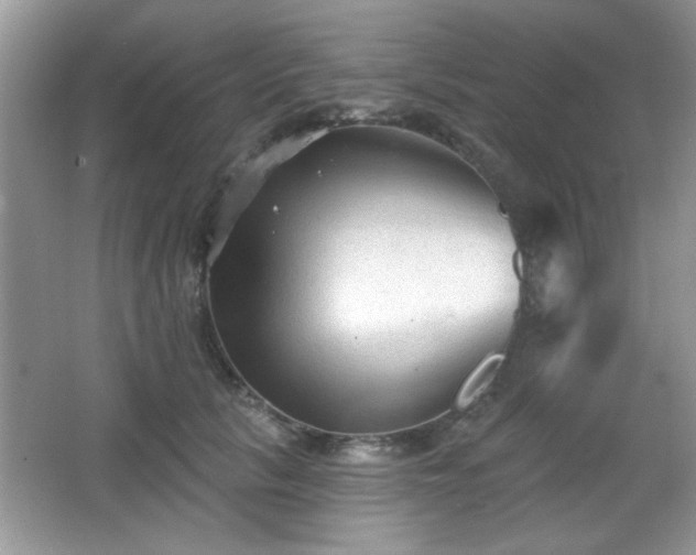 X0000066990657200603271315