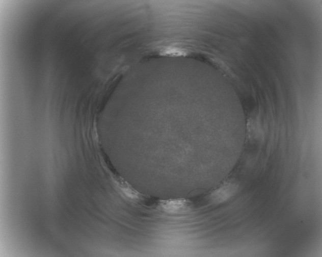 X0000066990671200603271316