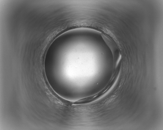 X0000066990673200603271315