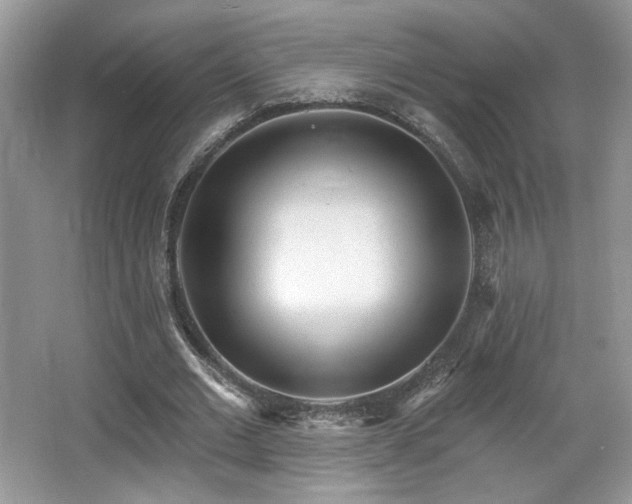 X0000066990677200603271315