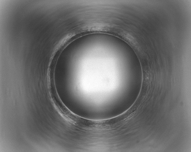 X0000066990678200603271315