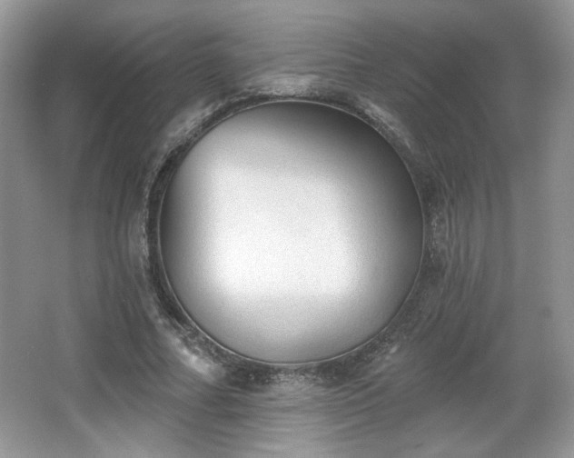 X0000066990682200603271315