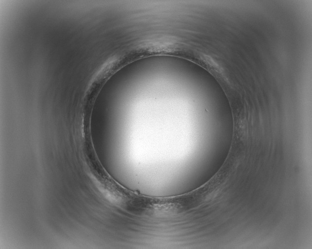 X0000066990686200603271315