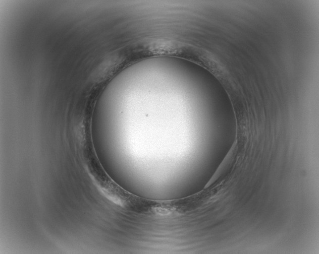 X0000066990690200603271315