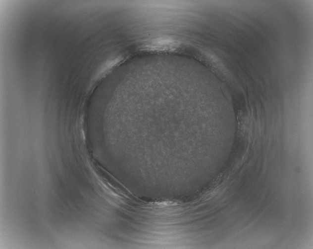 X0000066990692200603271315