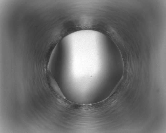 X0000066990697200603271314
