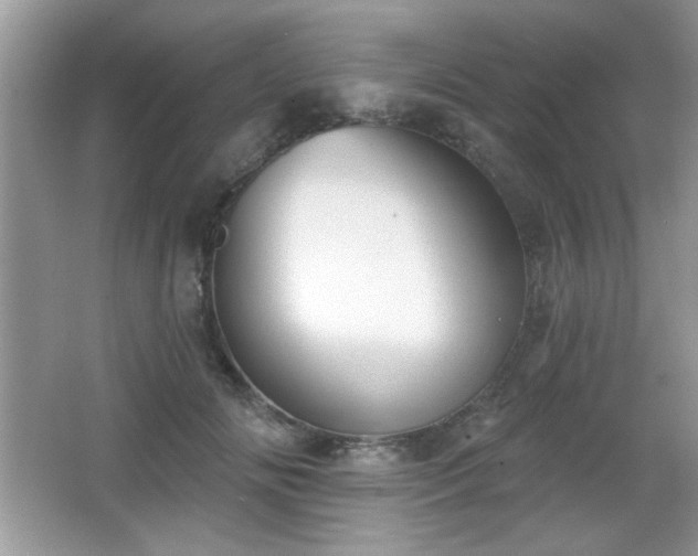 X0000066990702200603271314