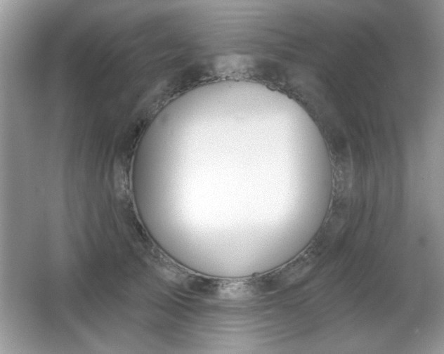 X0000066990705200603271314