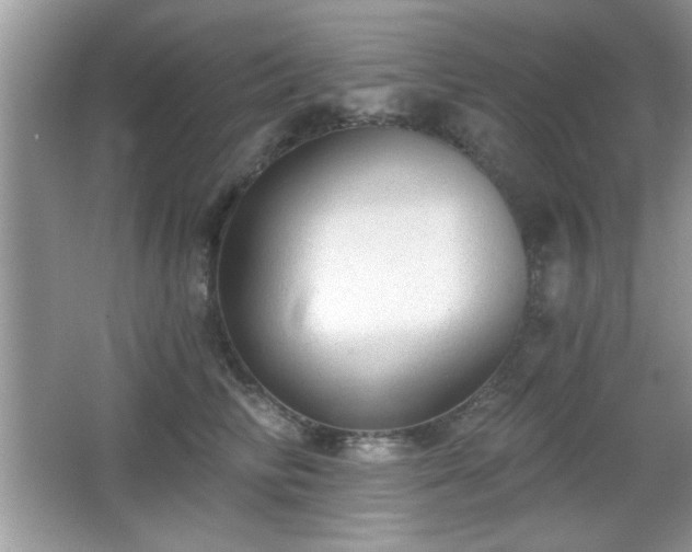 X0000066990710200603271314
