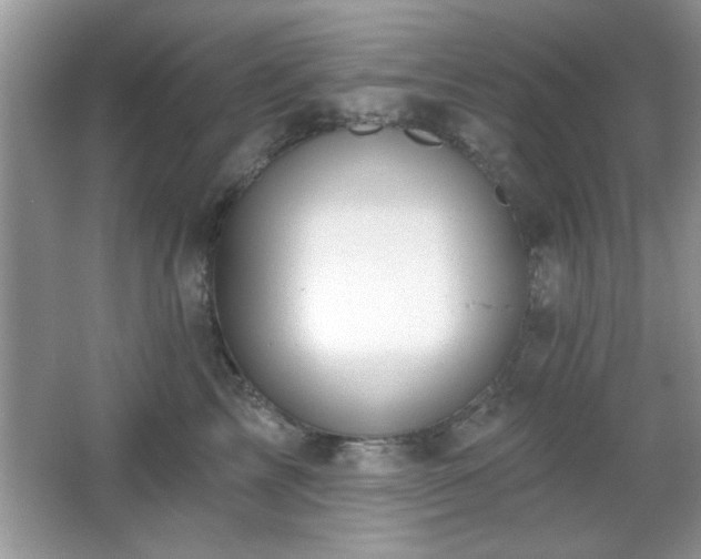 X0000066990713200603271314