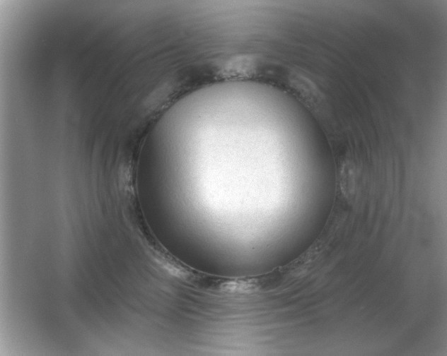 X0000066990714200603271314