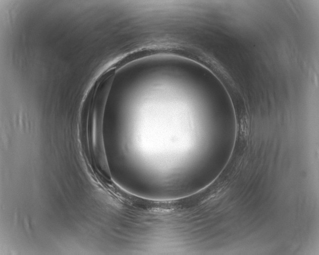 X0000066990724200603271313