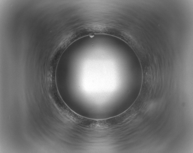 X0000066990739200603271314
