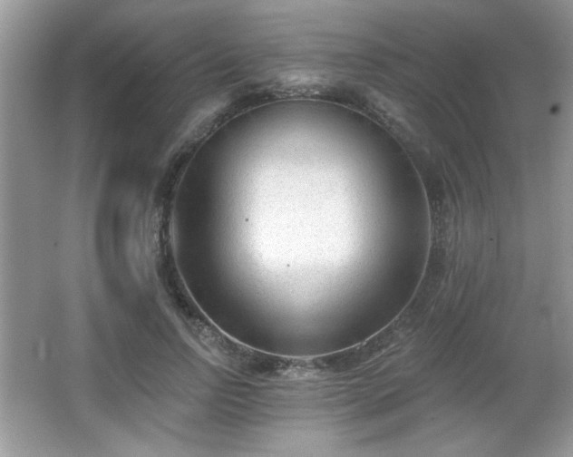 X0000066990742200603271314