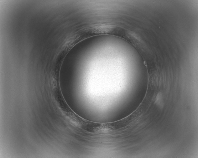 X0000066990743200603271314