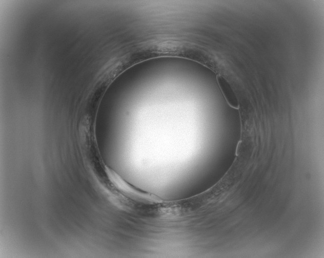 X0000066990744200603271314